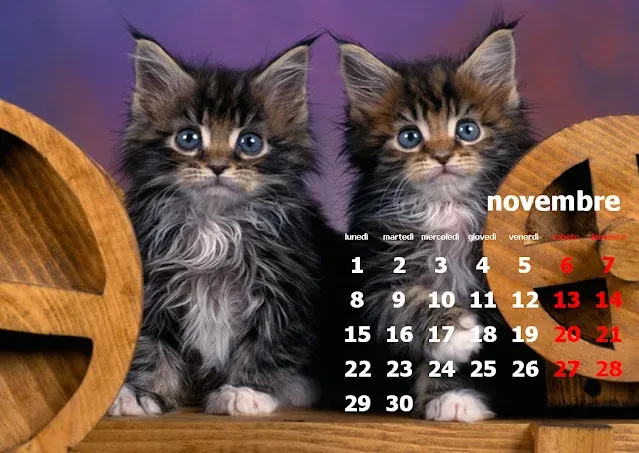 Calendari novembre per il desktop